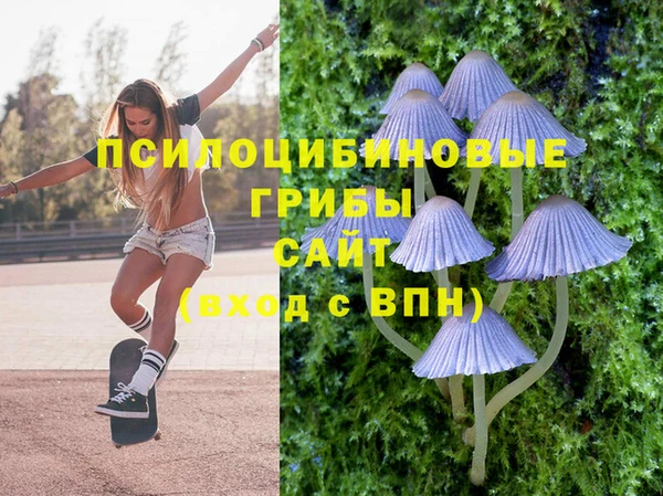стафф Алзамай