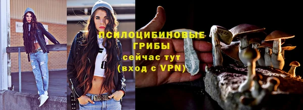 стафф Алзамай