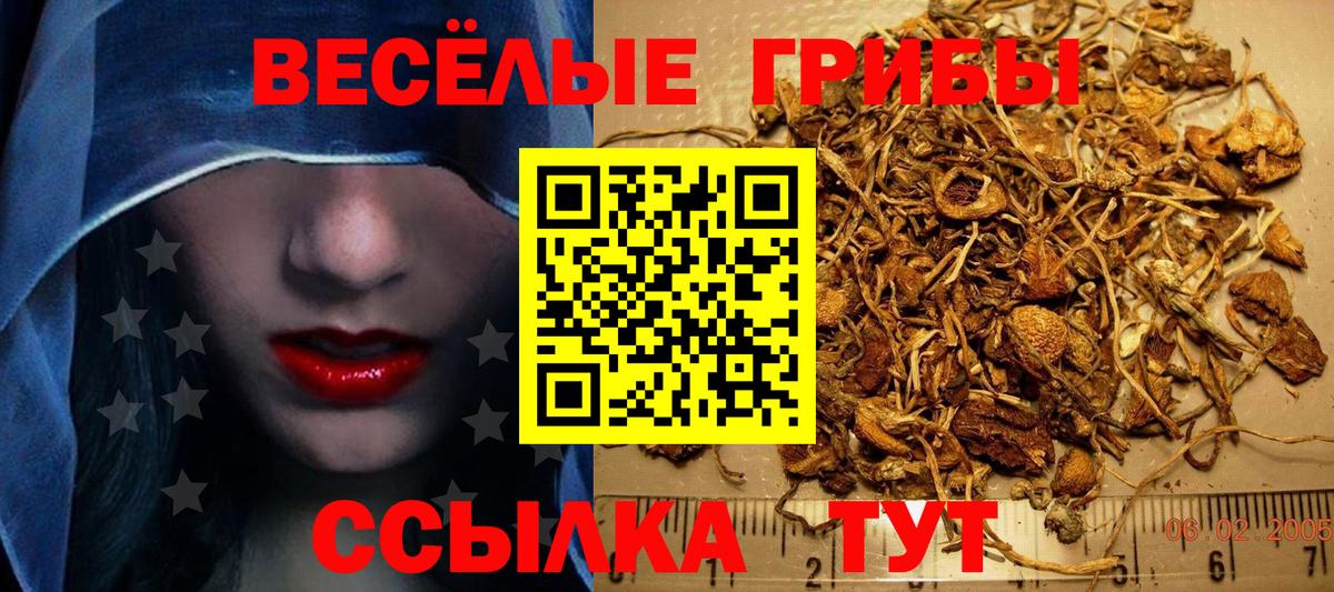 Галлюциногенные грибы ЛСД  Вход с VPN  Галлюциногенные грибы GOLDEN TEACHER  Нефтекумск 